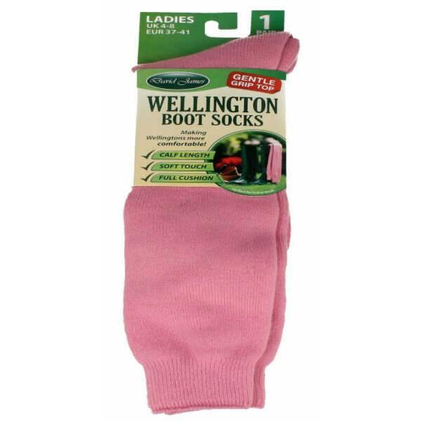 David James Wellington Boot Socks Long Welly Sock in Green